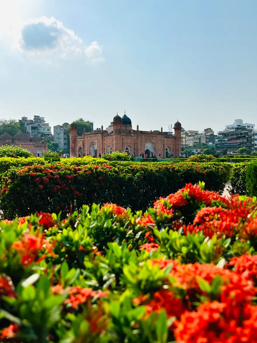 Lalbagh Fort Orange Blooms